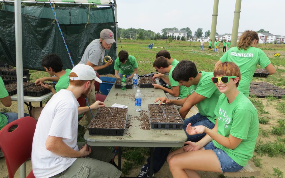 Measure the Impact of Your Team Volunteer Project